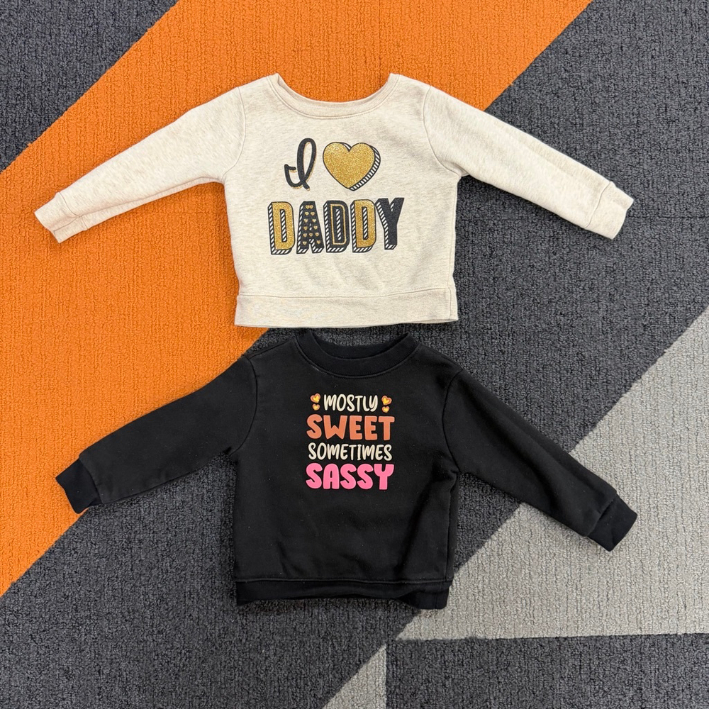 Lot of 2 Baby Girl Winter Toddler Garanimals Sweatshirts 18 Months Pullover